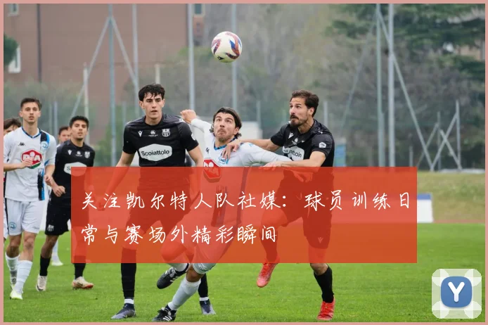 关注凯尔特人队社媒：球员训练日常与赛场外精彩瞬间