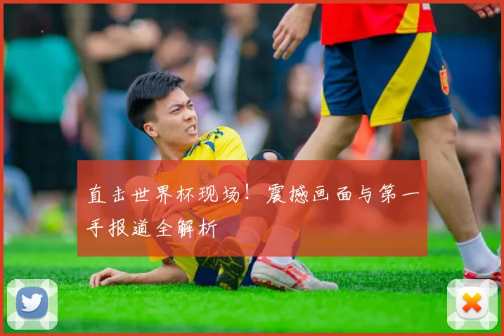 直击世界杯现场！震撼画面与第一手报道全解析