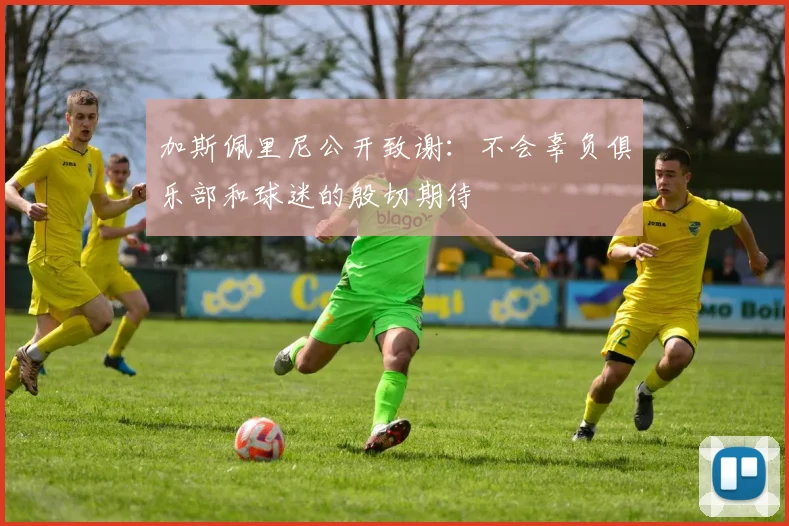 加斯佩里尼公开致谢：不会辜负俱乐部和球迷的殷切期待